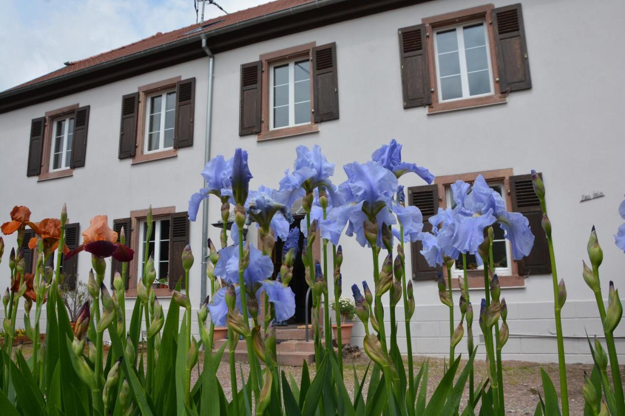Ferme Les Iris Leilighet Issenheim Eksteriør bilde